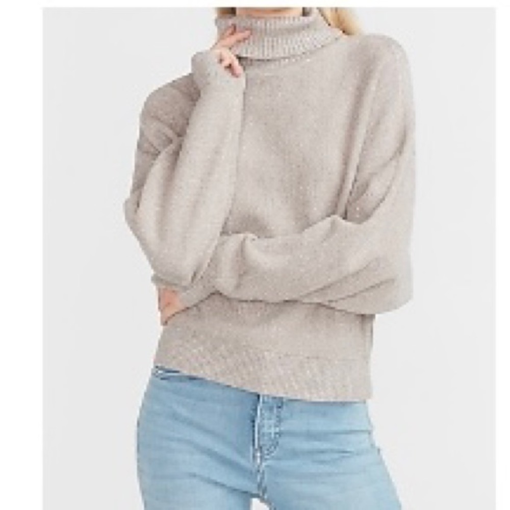 Express woman’s grey metallic dolman turtleneck sweater medium. NWT
